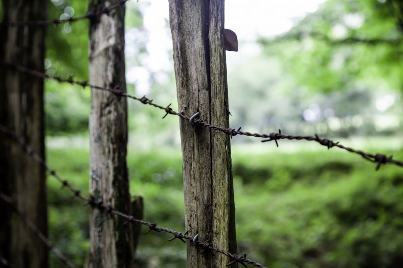 Barbed Wire Fence Service